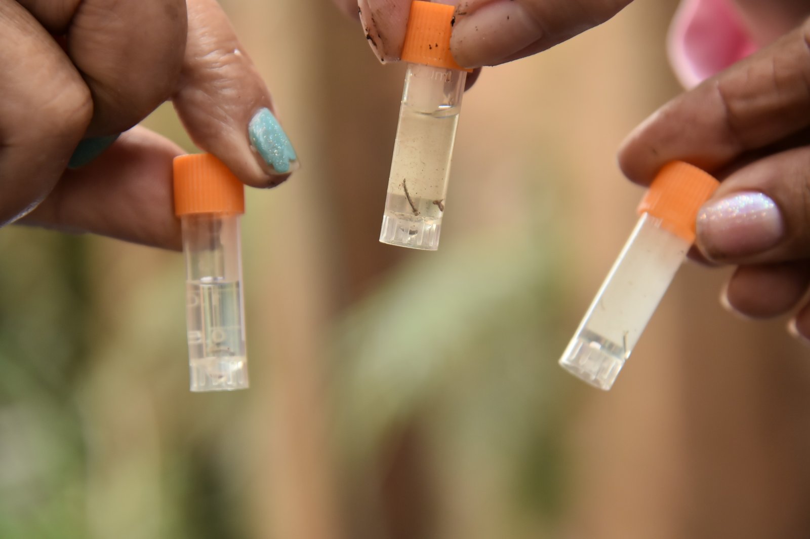 Aparecida facilita atendimento para casos de suspeita de dengue