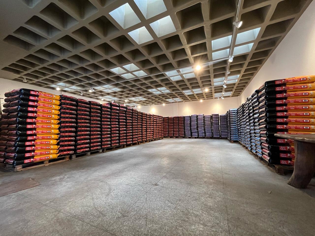 Protetores de animais podem se inscrever para receber gratuitamente ração para cães em Goiânia