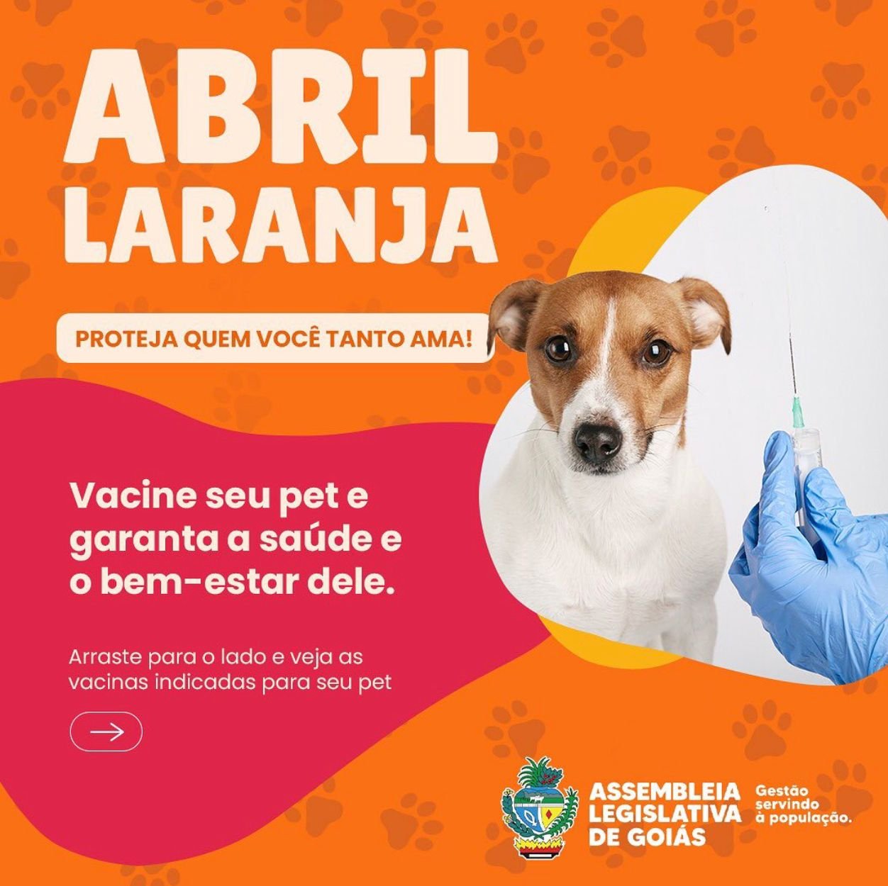 ABRIL LARANJA CHEGOU PARA OS PETS • 🐶🐱